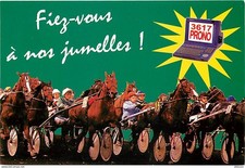 Animaux chevaux vincennes d'occasion  Fruges