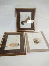wildlife art for sale wildlife art for sale RUGBY