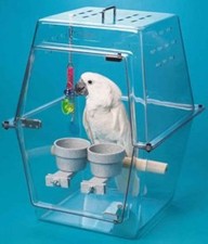 Wingabago large bird for sale  Scranton