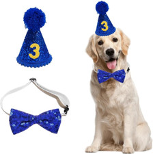 Set compleanno cani usato  Roma