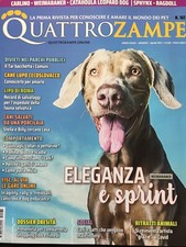 Quattrozampe 2021 161.weimaran usato  Campagna
