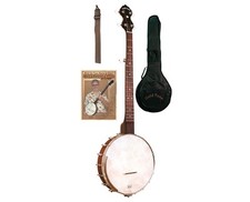 Gold tone beginners for sale  Winchester
