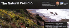 Natural presidio golden for sale  Mukwonago