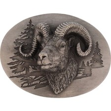 New big horn for sale  Evanston