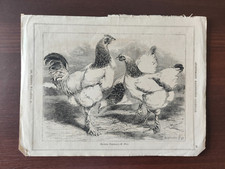 Antique original lithograph for sale  BOURNEMOUTH
