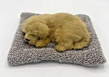 Cute golden retriever for sale  Las Vegas