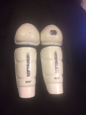 Hespeler youth hockey for sale  Pulaski