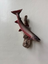 fish mounted for sale fish mounted for sale Prescott