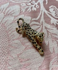 Gorgeous spotted panther for sale  EDINBURGH