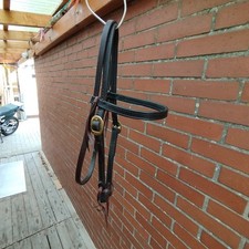 Westerntrense zügel top gebraucht kaufen  Georgsmarienhütte