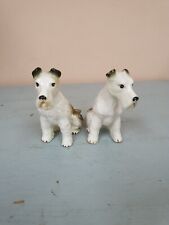 japanese terrier for sale japanese terrier for sale NEWPORT-ON-TAY