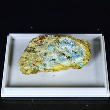Caledonite red gill for sale  COCKERMOUTH