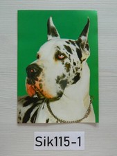 21cmx 15cm chien d'occasion  Expédié en Belgium