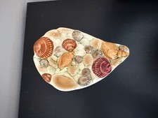 Sylvac marine shell for sale  CANTERBURY