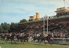 Deauville champ courses d'occasion  France
