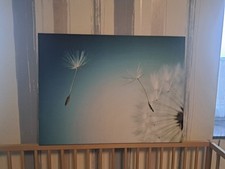Foto druck bild gebraucht kaufen  Brockscheid, Mehren, Strotzbüsch