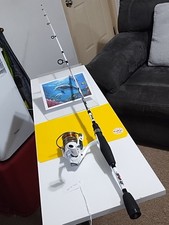 Spinning fishing rod for sale  Salisbury