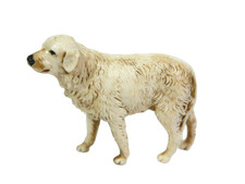 Cane bianco landi usato  Napoli