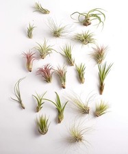 Assorted collection variety for sale  Brentwood