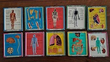 corpo umano vintage usato corpo umano vintage usato Candelo