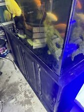 Aquarium 116 gallon for sale  Apopka