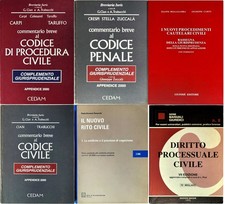 Lotto libri commentario usato  Milano