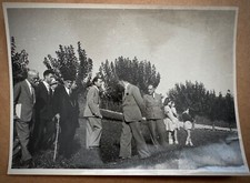 Luigi einaudi originale usato  Torino