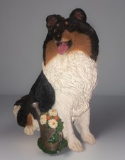 Living stone sheltie for sale  Pottsville