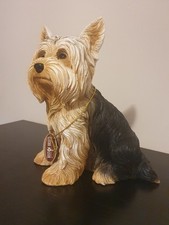Klp yorkshire terrier for sale  NORTHWICH