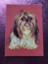 Alte ddr hundepostkarte gebraucht kaufen Alte ddr hundepostkarte gebraucht kaufen  Borna