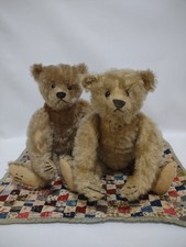 Antiguo par de osos de peluche Steiff 13" botón en blanco 1905 encontrados juntos DOS OSOS segunda mano  Embacar hacia Mexico