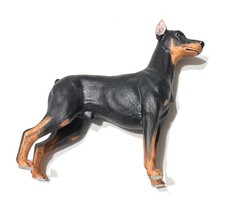 Doberman pinscher dog for sale  Allentown