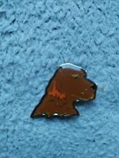 Pin chien chasse d'occasion  Laval