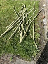 willow branches for sale willow branches for sale LEEDS
