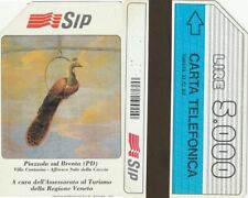 Scheda telefonica usata usato  Firenze