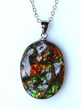 Ammolite multicolore canada d'occasion  Villars-les-Dombes