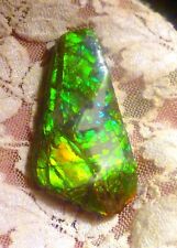 50x32mm green ammolite for sale  Redlands