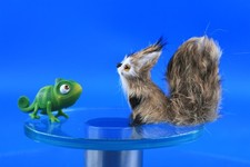 Handgemachte eichhörnchen fig gebraucht kaufen Handgemachte eichhörnchen fig gebraucht kaufen  Lennestadt