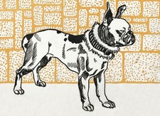 Plakat 18x13cm Pitbull Terier, Moriz Junga Vintage do Salonu na sprzedaż  PL