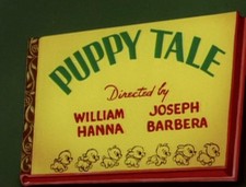Tom jerry puppy for sale  BROXBOURNE