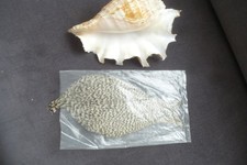 Metz skalp hahn gebraucht kaufen Metz skalp hahn gebraucht kaufen  Obertshausen