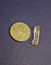 23mm small tangerine for sale  LIVERPOOL