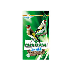 Manitoba carduelidi miscela usato  Pagani