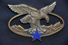 Insigne bronze brevet d'occasion  Lescheraines