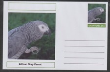 95313 birds african for sale  NOTTINGHAM