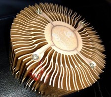 Gridseed chip scrypt for sale  BOREHAMWOOD
