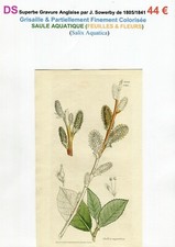 Xix ème saule d'occasion Xix ème saule d'occasion  Romorantin-Lanthenay