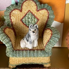 Miniature husky puppy for sale  Lower Lake