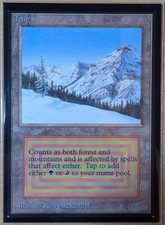 Mtg taiga intl gebraucht kaufen  Saarwellingen