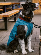 Ruffwear stumptown jacket gebraucht kaufen  Roth